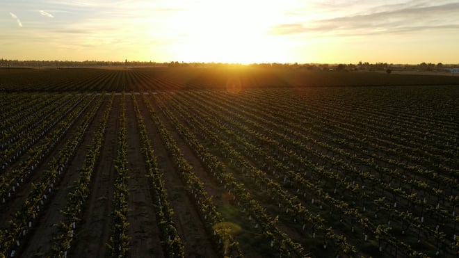 Lodi, CA Demo