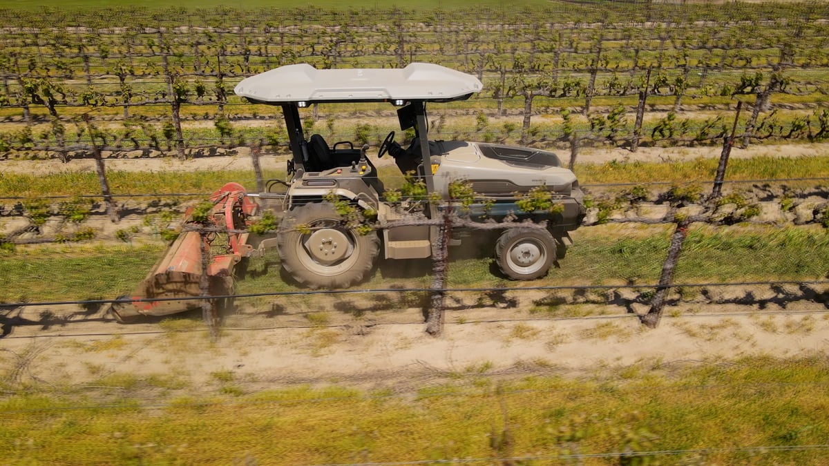 Vineyards