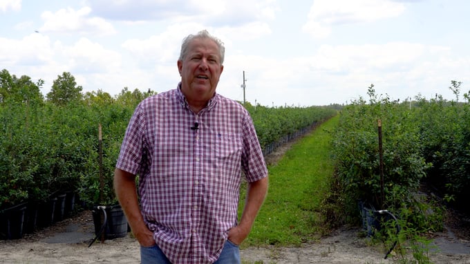 Autonomous Tractor Blueberry Farm Demo