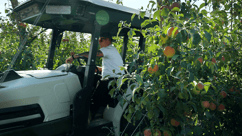 168车极速查询 Monarch Tractor in an Orchard