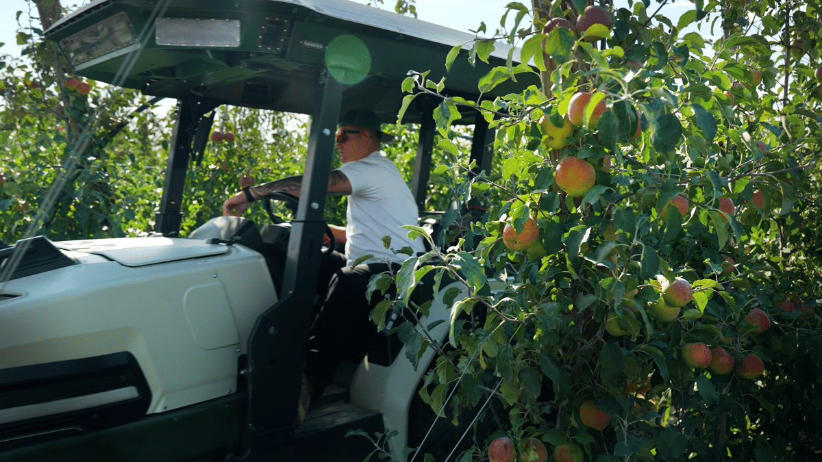 Orchards